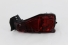 Lanterna Traseira Para-choque  Hilux Sw4 16/21 Le Original