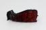 Lanterna Traseira Para-choque  Hilux Sw4 16/21 Le Original
